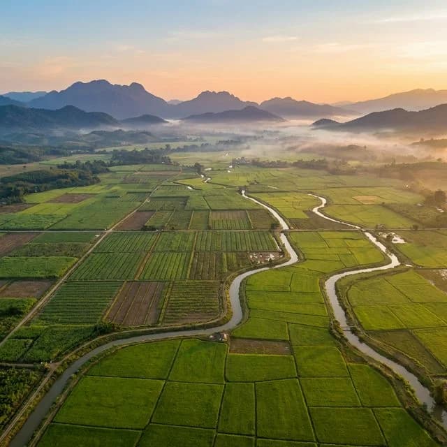 ທຸລະກິດ ການກະເສດ